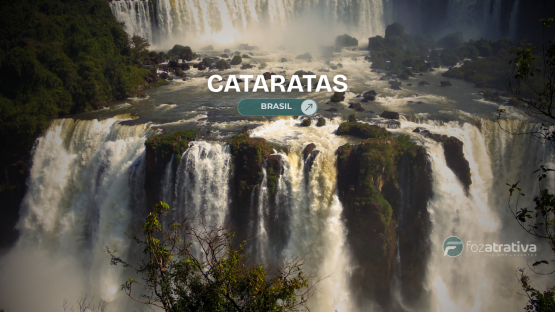  Ingresso Cataratas Brasil