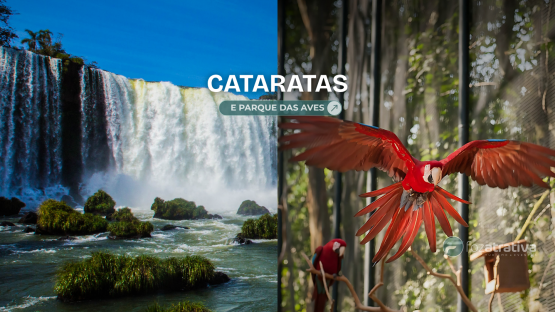 Tour Cataratas brasileiras + Parque das Aves