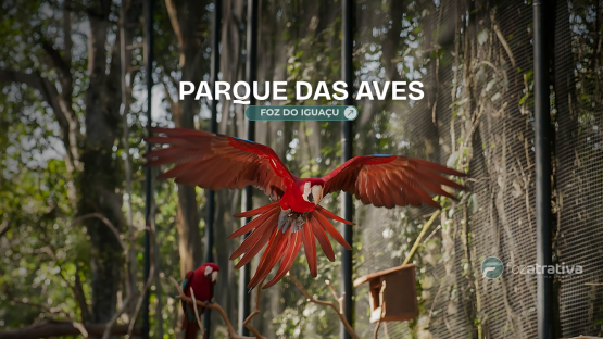 Ingresso Parque das Aves