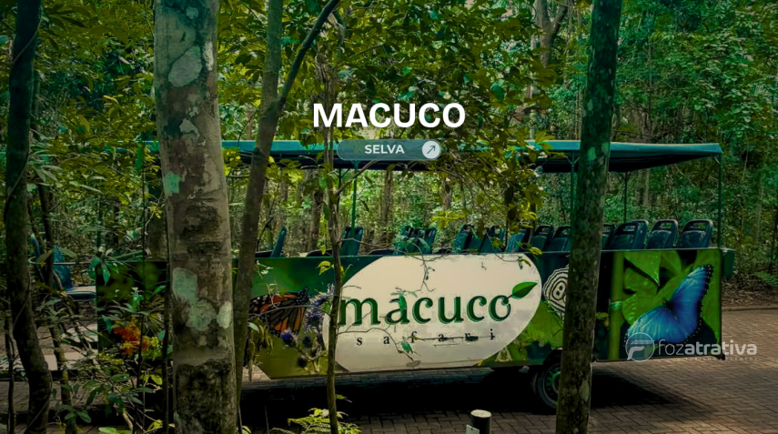 Ingresso Macuco Selva